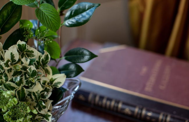 The Corinda Collection - Foto 43