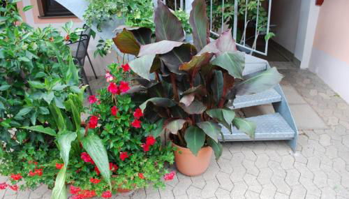 Ferienhaus Teubner - Foto 3, Other