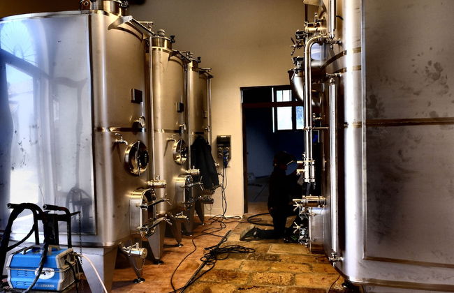 Fattoria Manostalla - Foto 15