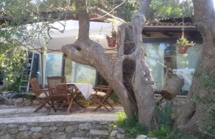 Limonaia in Salento - Foto 34