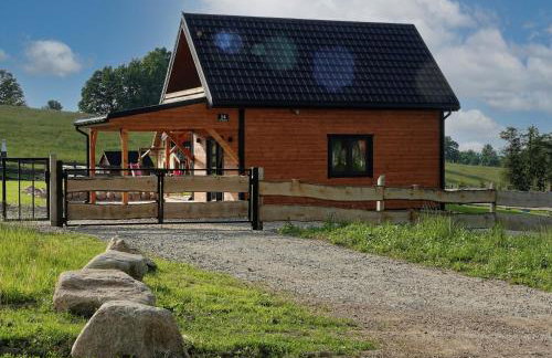 Przystanek Śnieżka - Foto 10