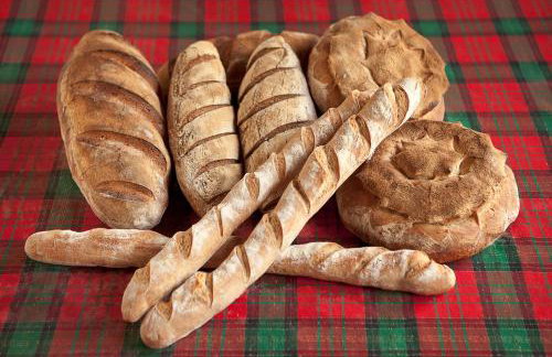 Poggio Diavolino - Suvereto - Foto 56