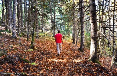 Ta Petrina - Foto 11