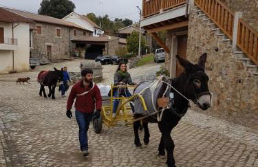 Apimonte Casa do Pascoal - PN Montesinho - Foto 55