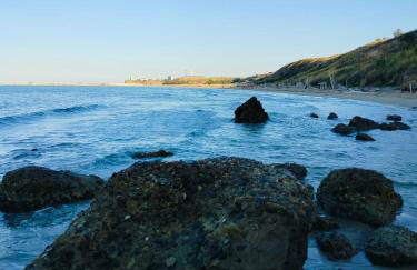 Perla marina - Foto 35