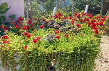 Casa Lilás no Vale do Capão - Foto 36