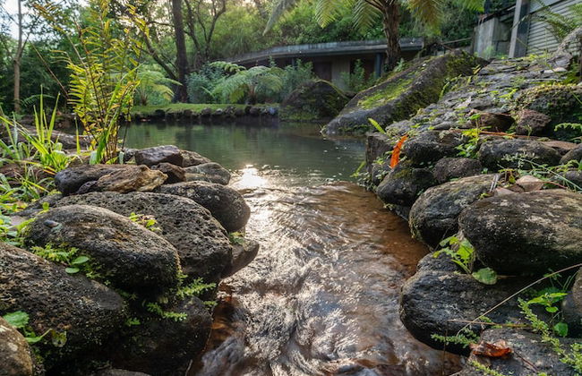 The Cavern - Foto 37