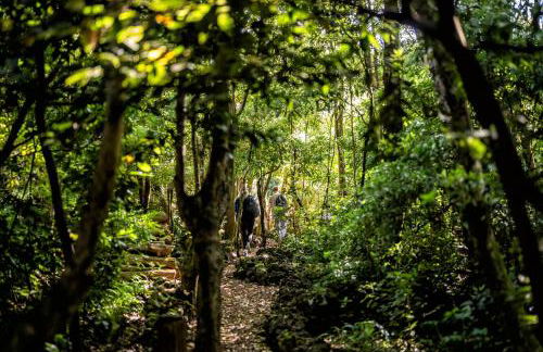 Alma do Pico - Nature Residence - Photo 24