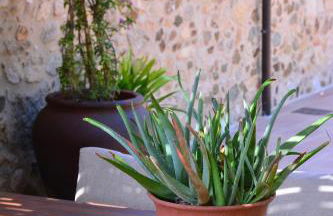 Mas Salvador Rural Experience - Photo 26