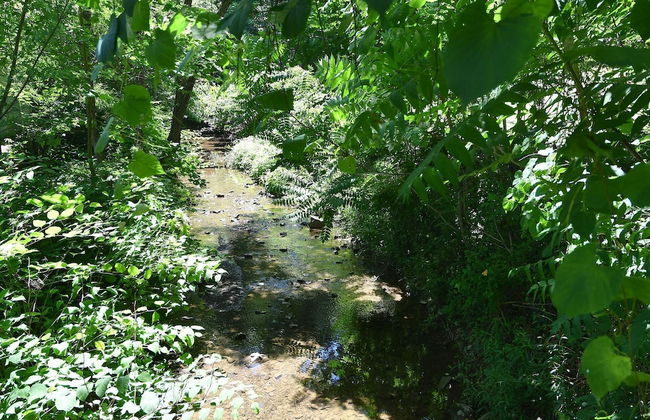 Fleur de Lis - A Knightly Abode! - Foto 32