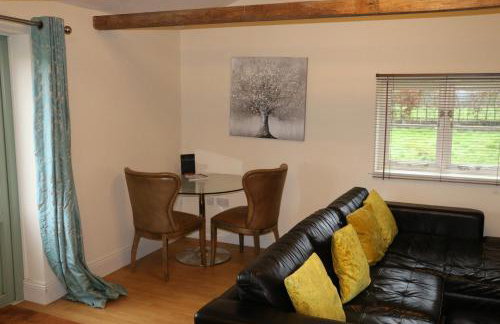 The Lodge - 2 acres of garden with hot tub and fire pit and BBQ - Foto 5