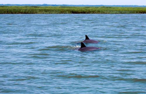 531 Sunsuite - Photo 25