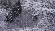 Casas Rurales Chon Alto Tajo - Foto 1