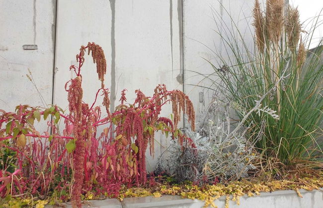 Villa Regensburg - Foto 44