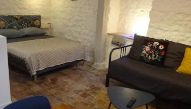 Appartement spacieux avec une vue sur Tours ( 38m²) -Gite de Bellevue - Photo 5