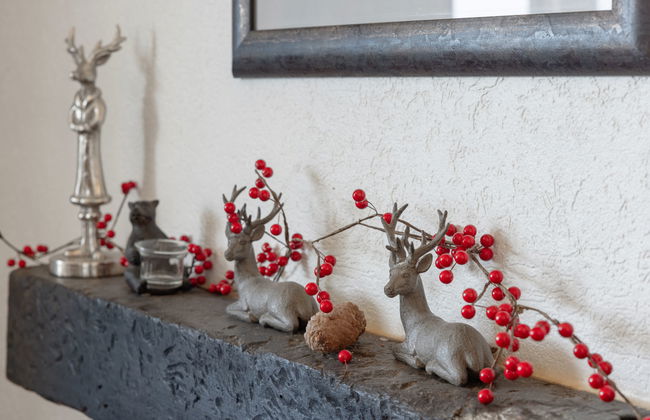 Cransalpin Apt. 11 / Secteur 1 - Foto 11