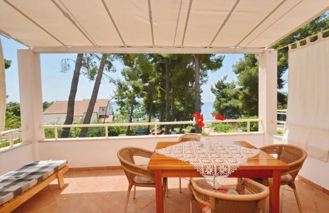 Dino - Gorgeous Garden - SA1 Zavala - Photo 37