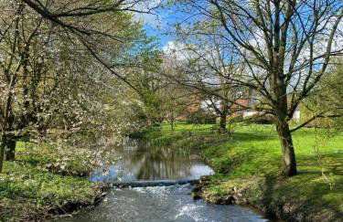 Waterside, Elmham Watermill, Norfolk - Foto 25