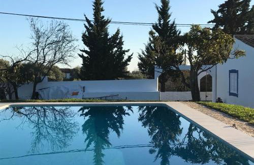 Monte das Estrelas - Foto 14