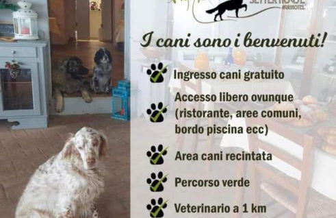 SetterHouseAgriHotel - Photo 27