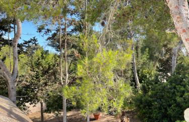 Villa Emma - Foto 50