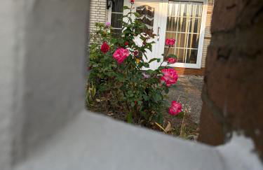 Queen of Safran Ferienhaus - Foto 20