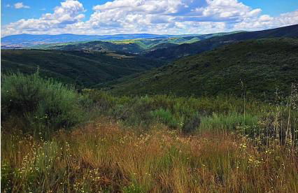 Casa da Lúcia - Foto 6