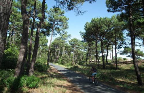 Ronce-les-Bains - APPARTEMENT REZ-DE-CHAUSSÉE droit - 90m de la PLAGE - Foto 19