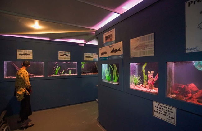 Bonito Aquarium Guided Tour - Photo 5