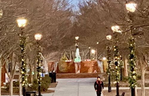 Historic Home in Downtown Greer Shop Eat & Sleep - Photo 41