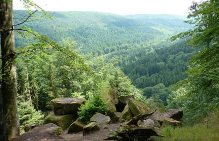 C&S Living I Wohnung I Balkon I Küche I Stellplatz - Foto 38