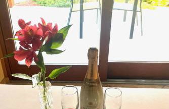 Le petit SPA dans le Quercy - Foto 12