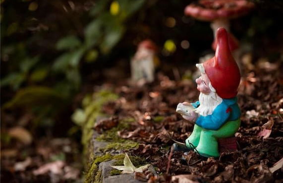 tenuta castel dell'aquila - Photo 29