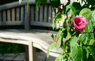 - Zuhause im Weilerblick - - Foto 14