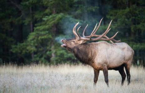 Black Hills Barndo-Hot Tub & Massage Chair - Foto 35