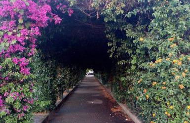 DiMore Apartments - Salento Low Cost - Foto 14