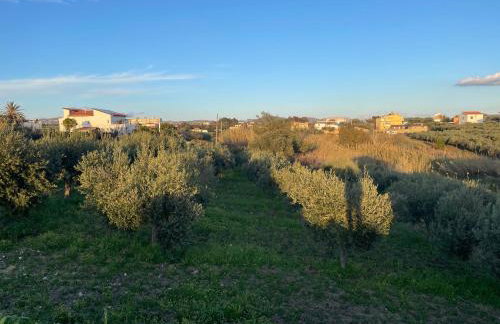 Nella valle dei templi e al mare - Foto 27