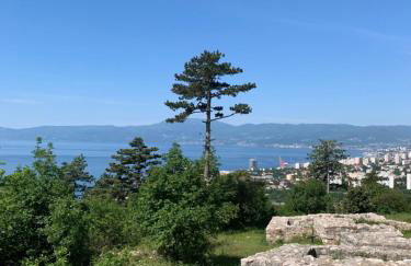 Apartman Nataša - Foto 33