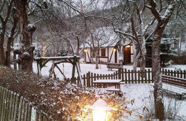 Górski Sad - Bazylia - Foto 25