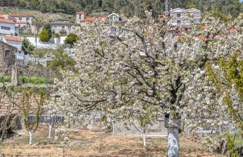 Bela Vista - Foto 24