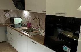 Apartman Staro Petrovo Selo - Foto 7