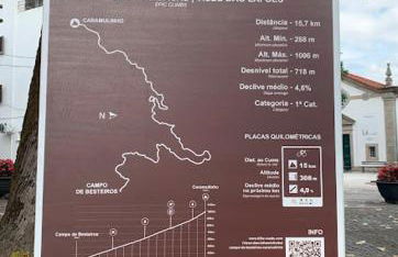 Casa da Mena - Casa de Campo no Caramulo - Foto 24