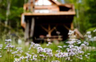 Stunning Pet-Friendly Treehouse for Relaxing Glamping Retreats in North Carolina - Foto 14
