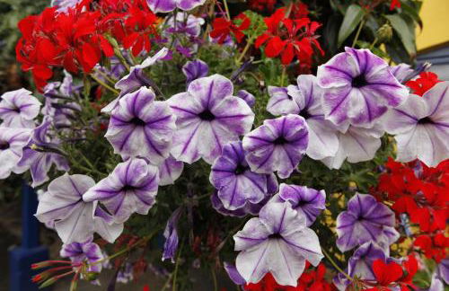 Rod and Line - Photo 5