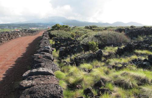 Areias da Prainha - Photo 12