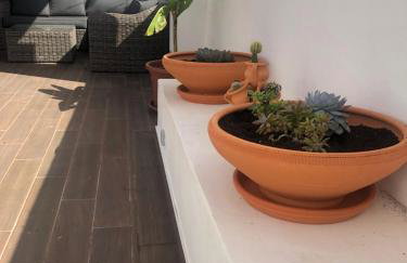 Casa do Papillon - Foto 9