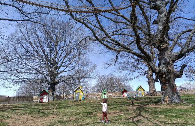 Entrada para la Ruta del Ratoncito Pérez - Foto 14