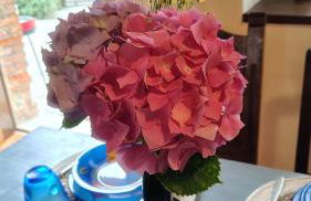 La Casina de la Caleyona, Parres - Llanes - Foto 33