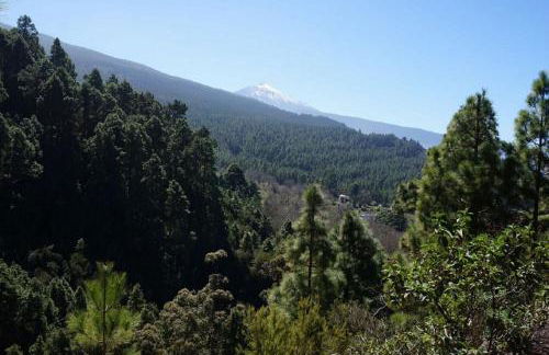 La Casita de Descanso - Das Häuschen der Ruhe - La Luz - La Orotava - Foto 53