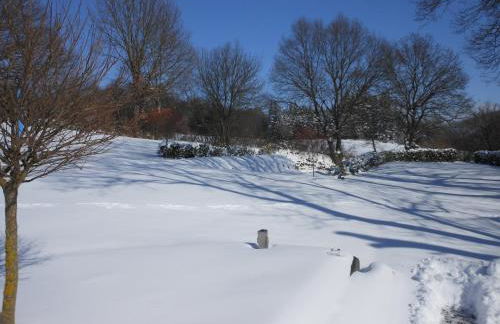 Ferienwohnung Am Eifelsteig, Golbach - Foto 12
